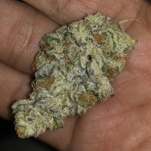 Photo of Sugar Breath by Promedz