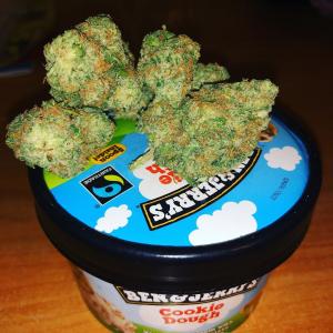 Photo of Gorilla Breath by Gorilla Breath