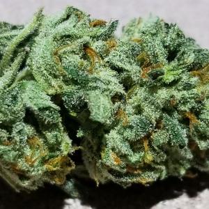 Photo of Blueberry Headband by djdaveis