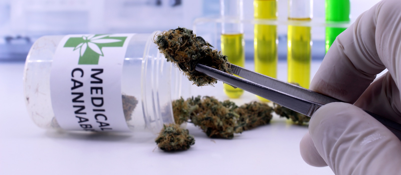Discovery of a new cannabinoid '30 times more potent than THC