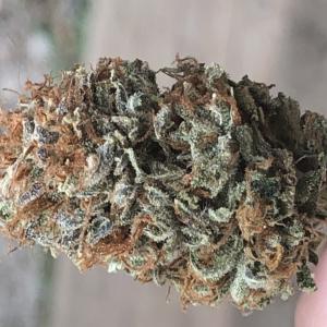 Photo of L.A. Gelato by John