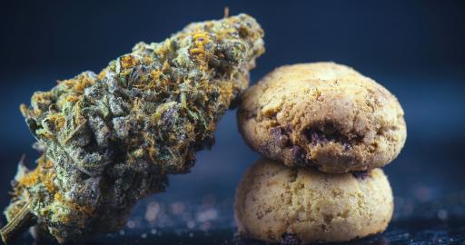 5 Tipps Fur Die Zubereitung Von Marihuana Edibles Humboldt Seeds 