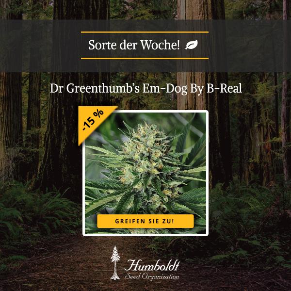 Dr Greenthumb’s Em-Dog By B-Real