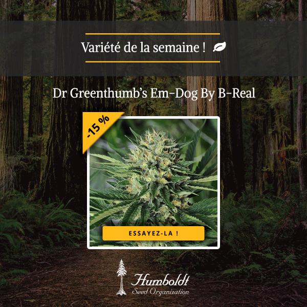 Dr Greenthumb’s Em-Dog By B-Real