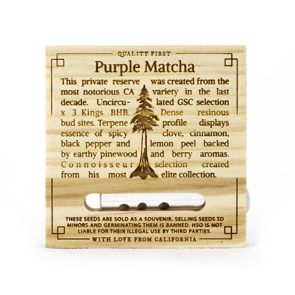 Purple Matcha Kaufen - Humboldt Seeds
