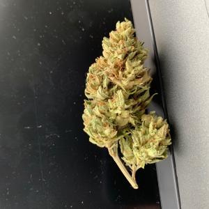 Photo of Lemon Garlic OG by Forestlander