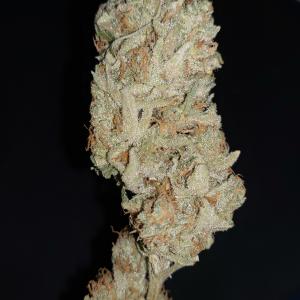 Photo of Lemon Garlic OG by Mateus