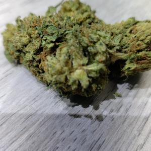 Photo of Sugar Breath by Earl Howard 