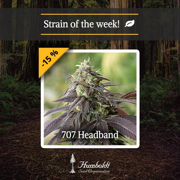 707 Headband HSO