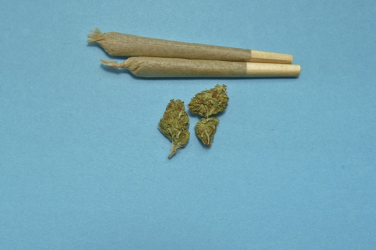 Marihuana medicinal