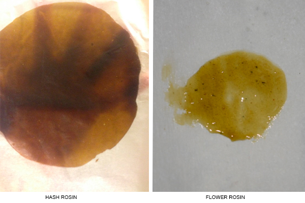 https://www.humboldtseeds.net/uploads/rosin-extraction.jpg