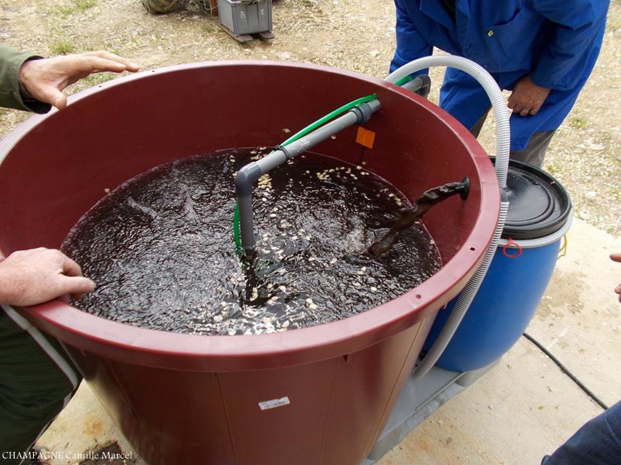 How To Make Compost Tea Humboldt Seeds