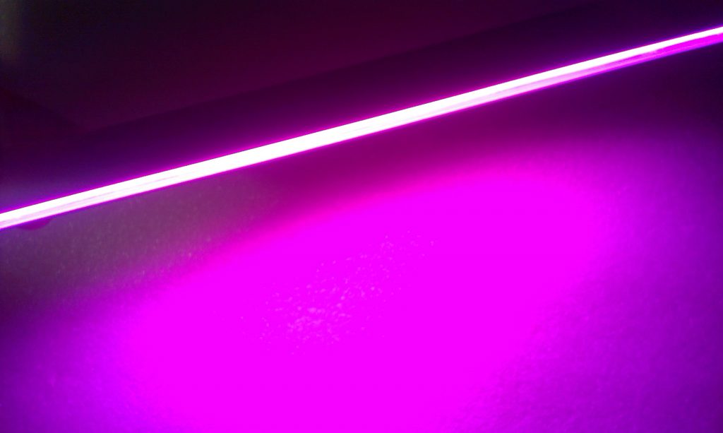 LED grow lights: are they the future of cannabis industry? - Humboldt Seeds