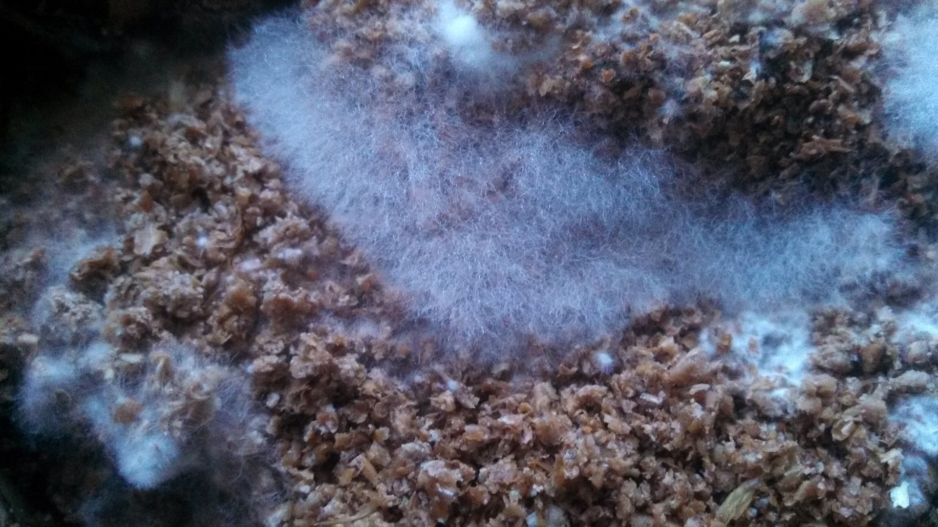 Understanding how Bokashi works Humboldt Seeds UK