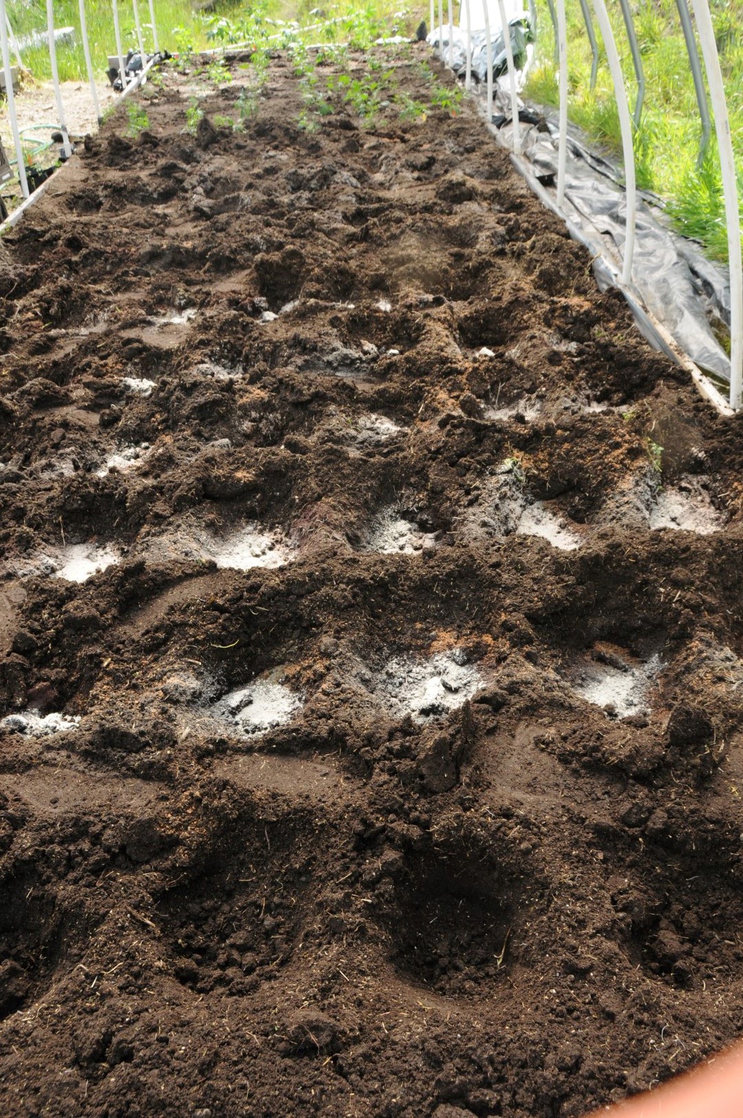 Understanding how Bokashi works Humboldt Seeds UK