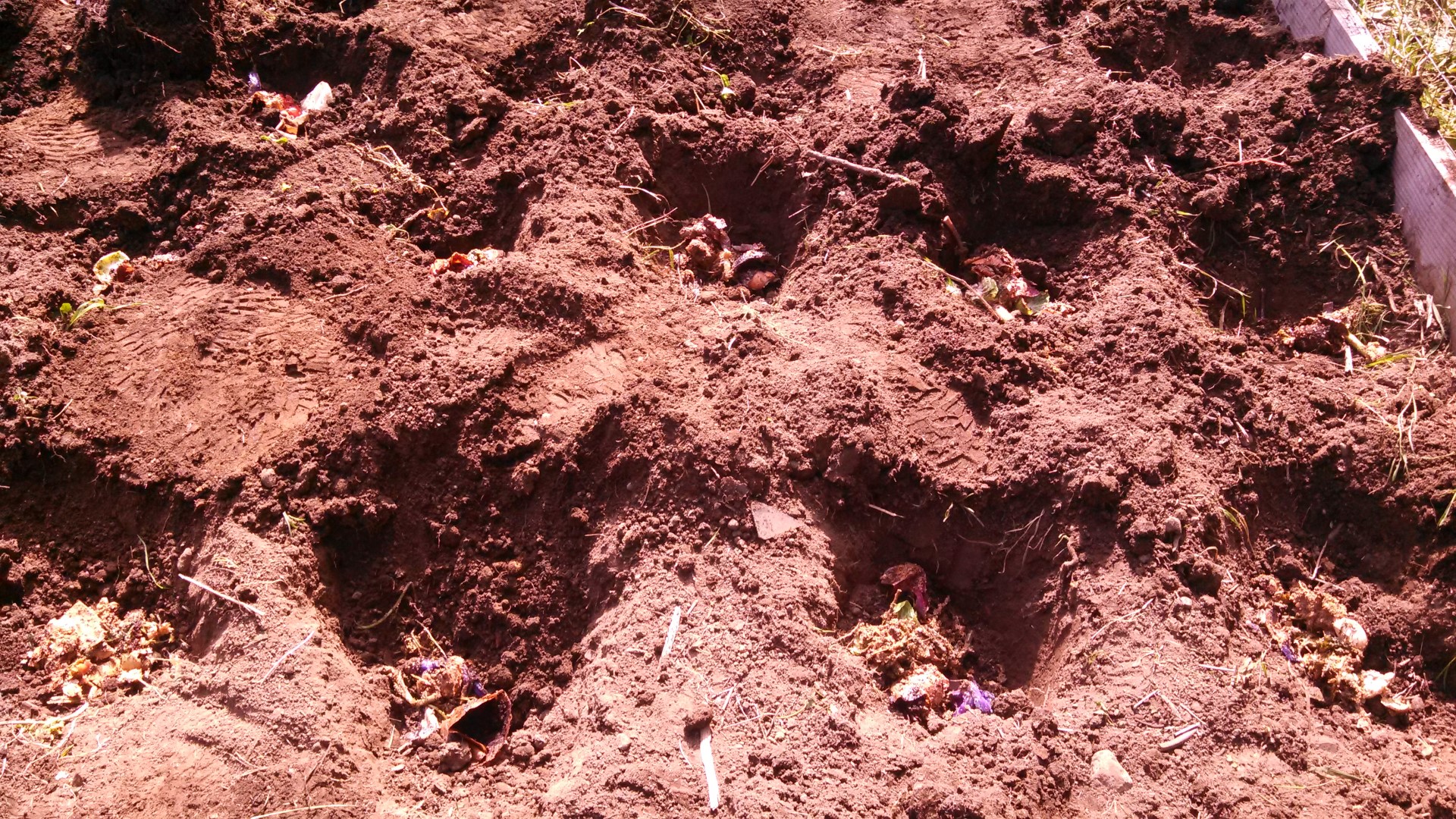 Understanding how Bokashi works Humboldt Seeds UK