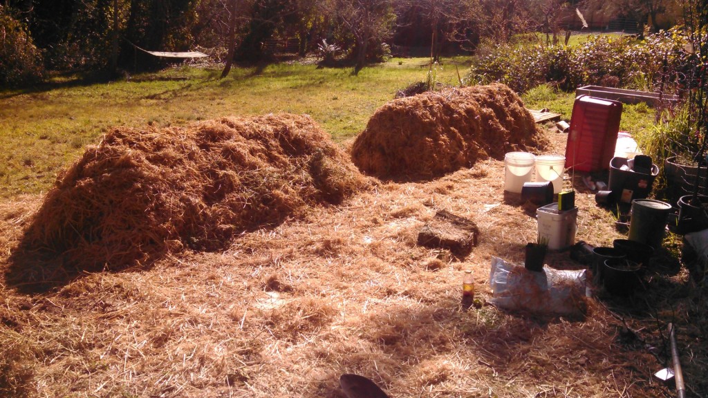 Completed Biodynamic cold composting piles