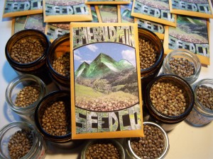 Emerald Mountain Seeds – Distributed via Humboldt Seed Organization
