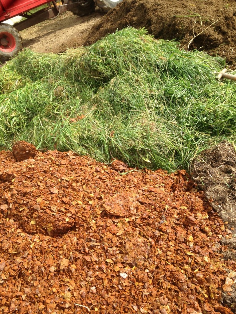 High quality cow manure, green grass and dried pressed cider apples.