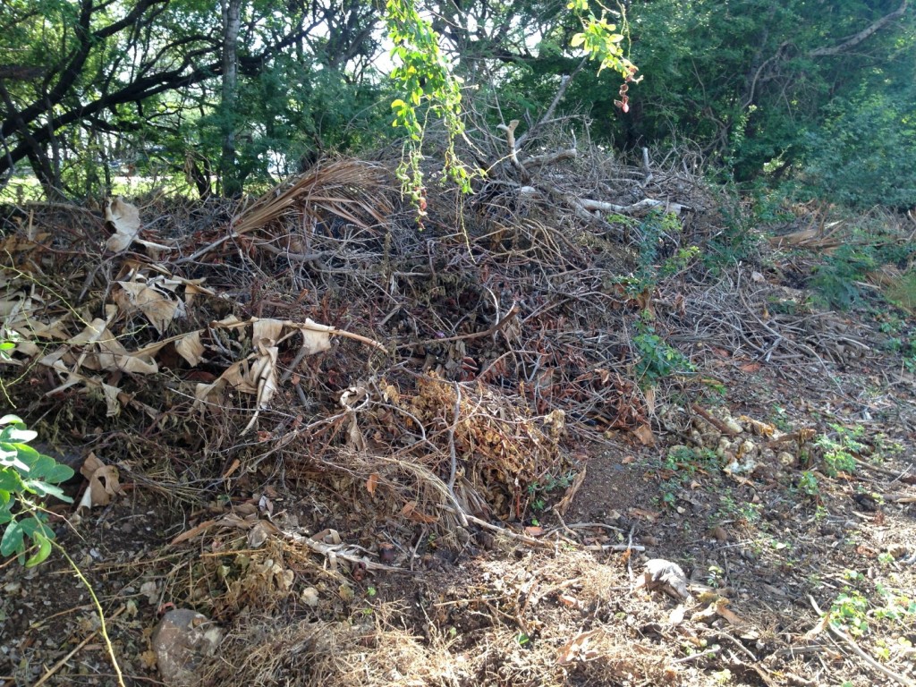  A mix of local yard waste waiting to be separted and reapplied into layers in the pile. This material is directly across the street from where it was put into form.
