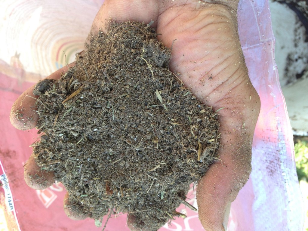 This chicken manure was used for the nitrogen rich material for this compost. It was sourced less than 3 miles from the building of the pile.