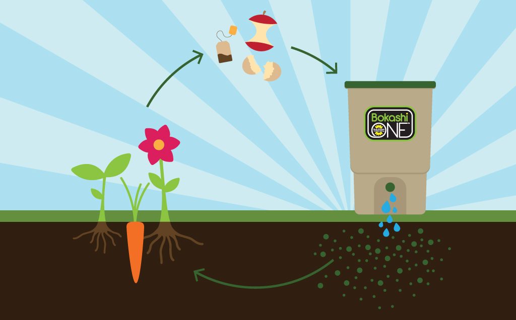 Activateur de compost Bokashi : comment en fabriquer et l'utiliser ?