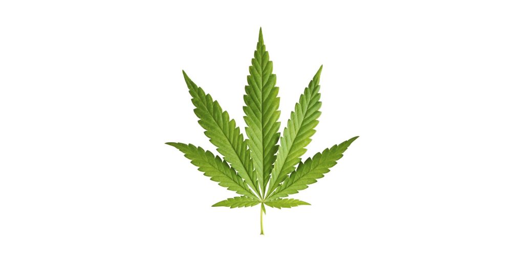 cannabis_brand