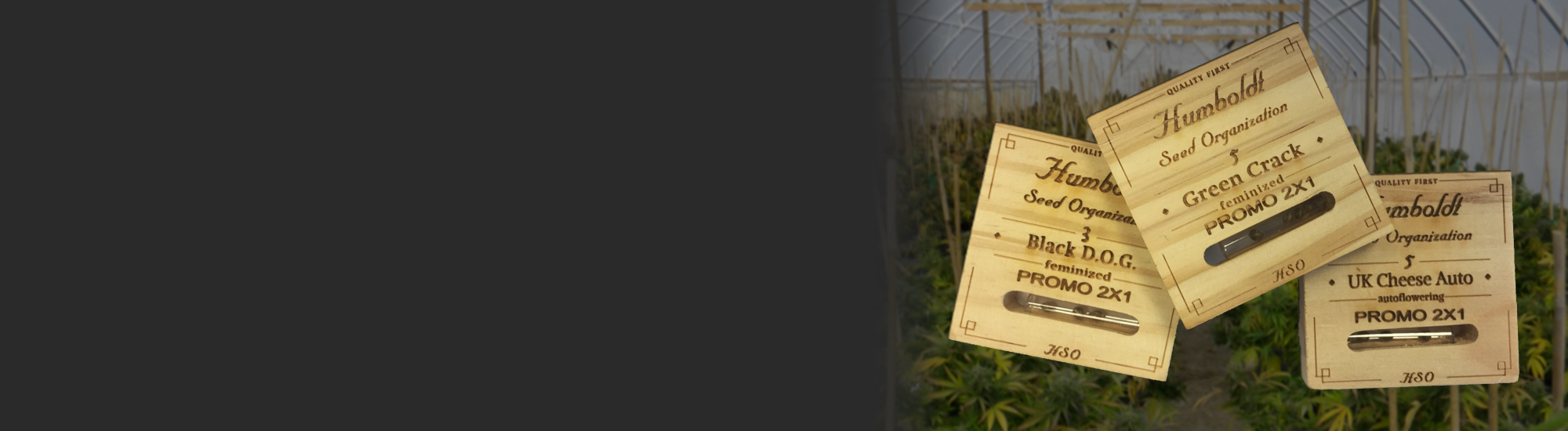 Cannabis Seed Bank Humboldt Seeds UK