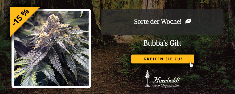 Bubba´s Gift HSO