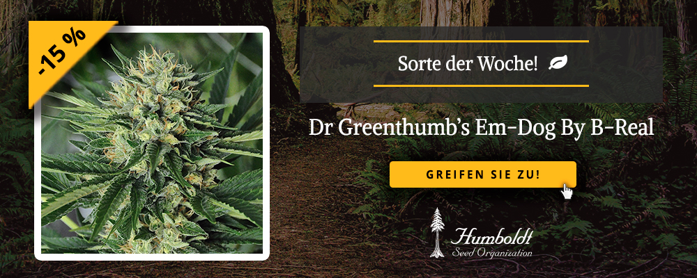 Dr Greenthumb's Em-Dog By B-Real