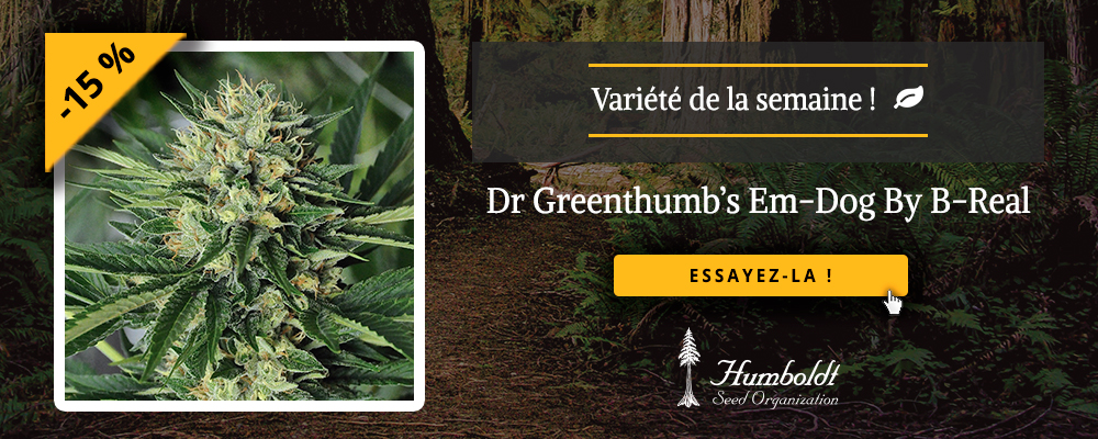 Dr Greenthumb's Em-Dog By B-Real