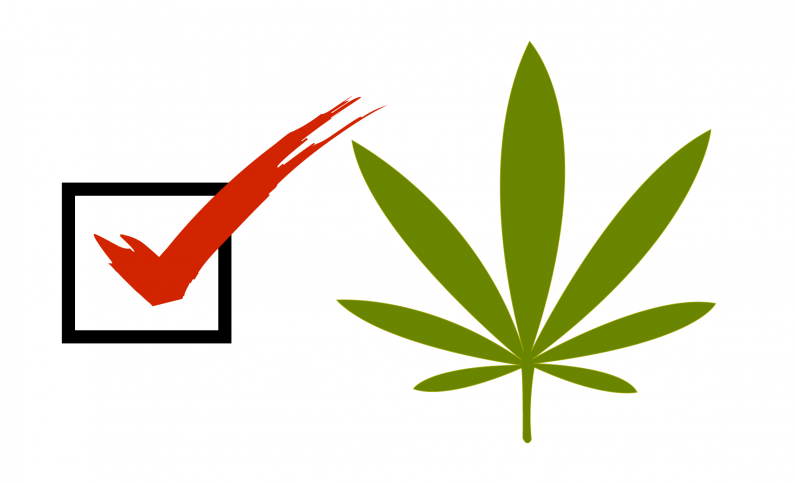 votación cannabis california 2016